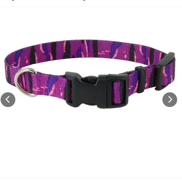 $5 ADD ON with $15+ Bundle Master Paws Adjustable Dog Collars TWO EUC Sz S - Picture 2 of 5